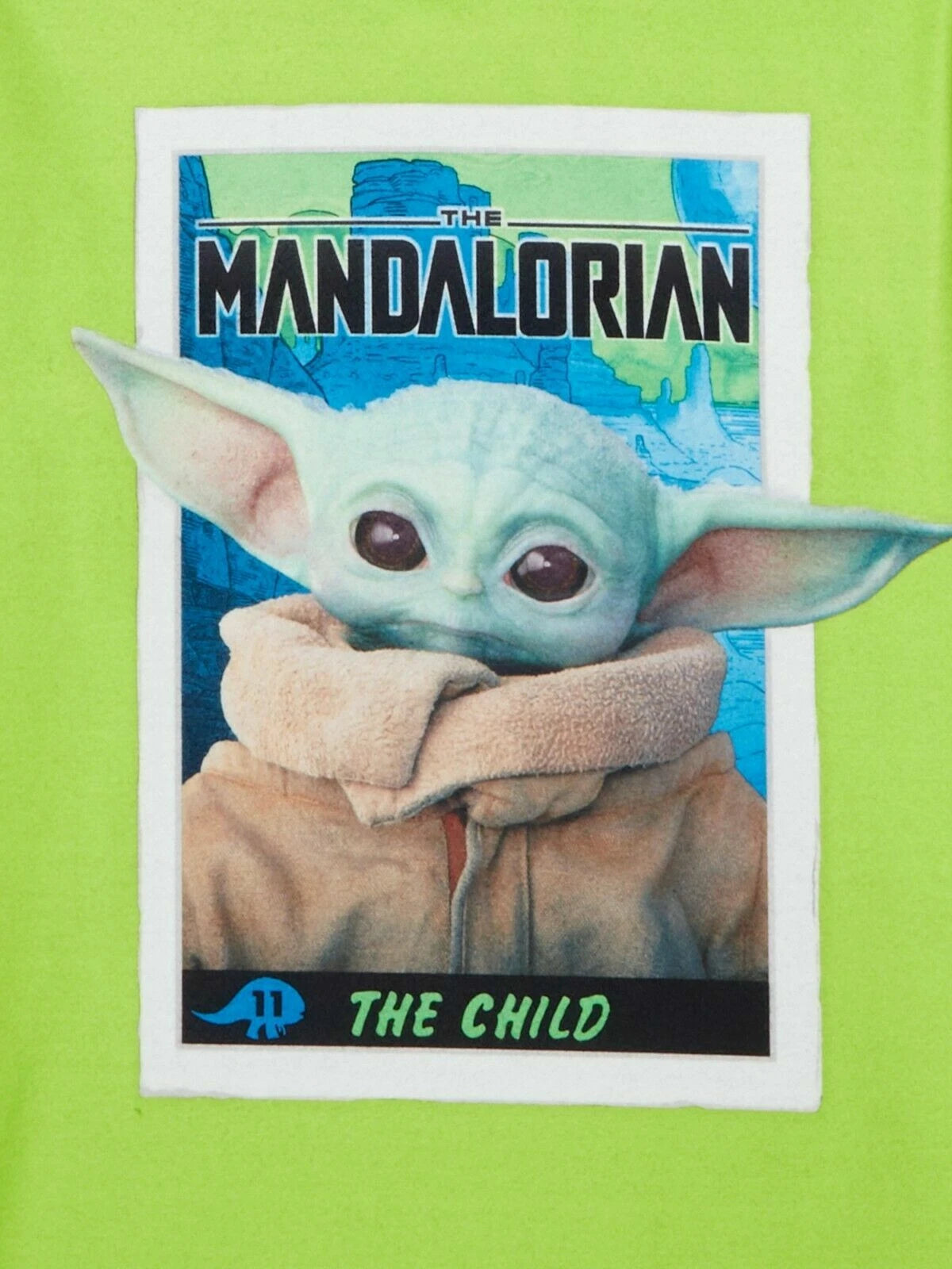 Jurassic Park / Star Wars the Child / Minecraft Boys Flannel Pajama Set 2-Piece