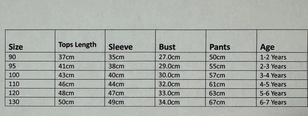 NEW Cartoon Print Boys Long Sleeve 2-Piece Pajama Set