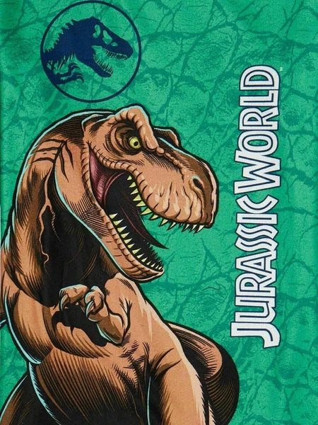 Jurassic Park / Star Wars the Child / Minecraft Boys Flannel Pajama Set 2-Piece